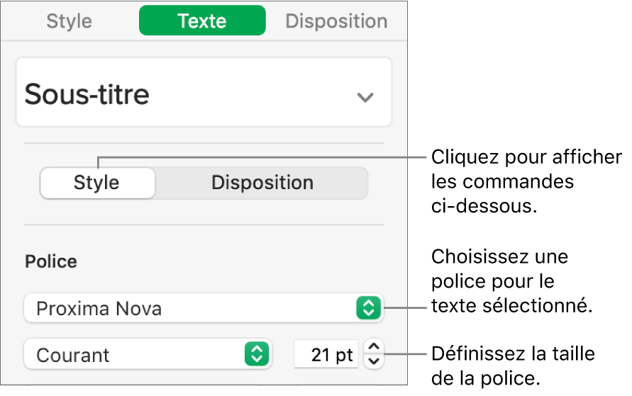 Commandes de texte de la section Style de la barre latérale Format, permettant de configurer la police et la taille des caractères.