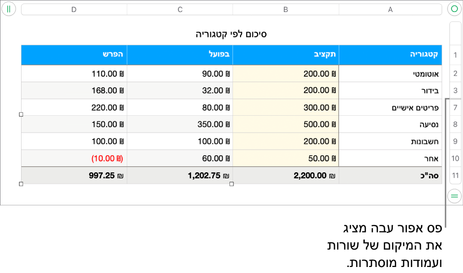 פס אפור עבה שמציג את מיקומן של שורות ועמודות נסתרות