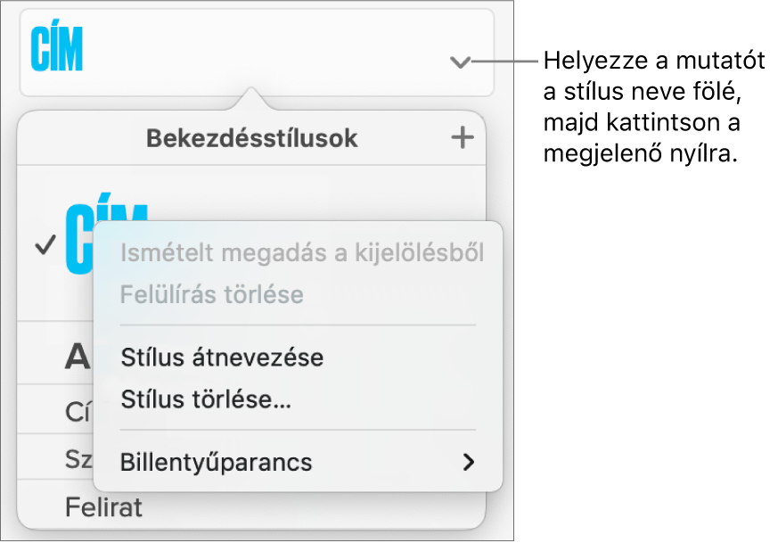 A Bekezdésstílusok menü a megnyitott helyi menüvel.
