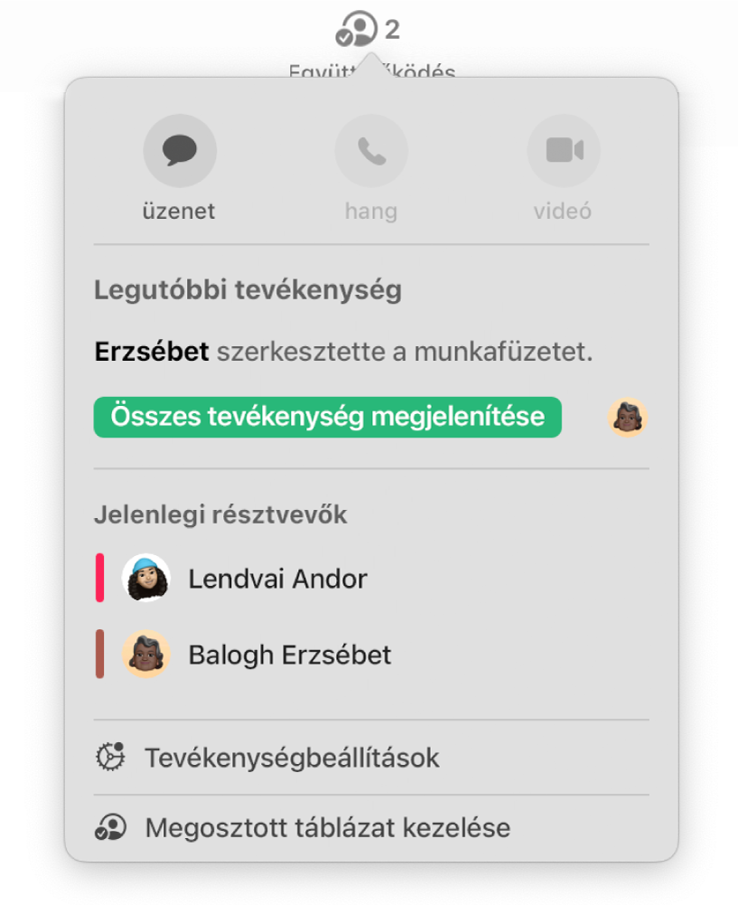 Az együttműködés menüje, amelyben a munkafüzeten együttműködő személyek nevei láthatók.