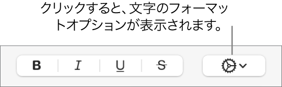 「ボールド」、「イタリック」、「アンダーライン」、および「取り消し線」ボタンの隣にある「詳細オプション」ボタン。