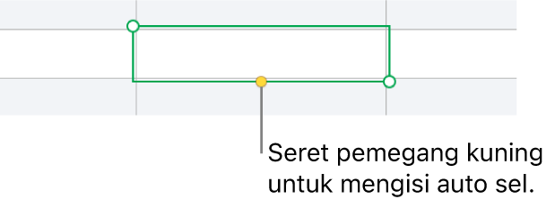 Sel yang dipilih dengan pemegang kuning yang boleh anda seret untuk mengisi auto sel.