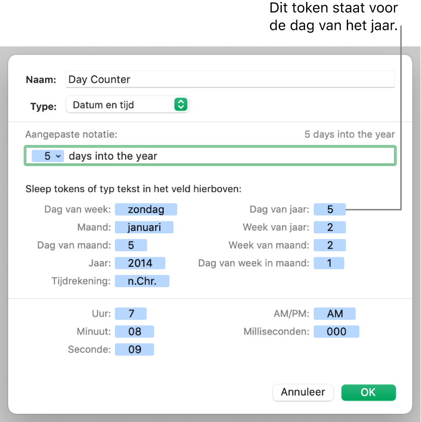 Aangepaste notatie voor datum- en tijdcel.