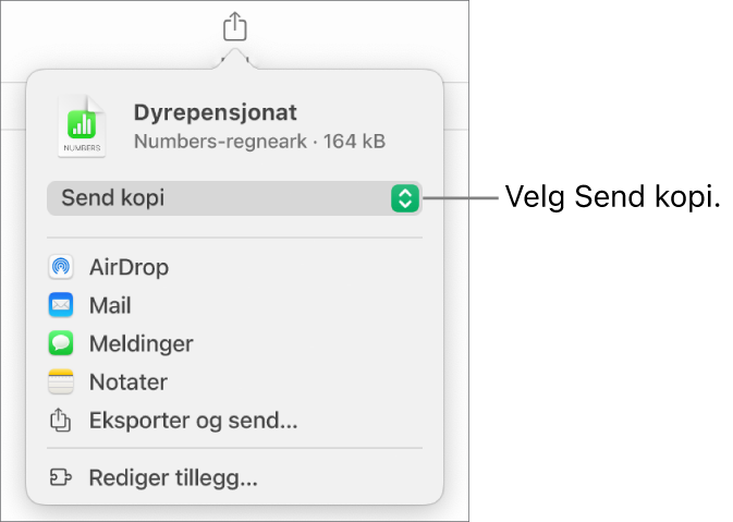 Del-menyen med Send kopi markert øverst.