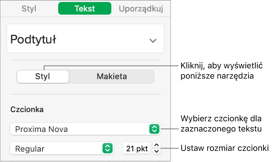 Narzędzia tekstu w sekcji Styl na pasku bocznym Format, pozwalające na ustawianie czcionki i jej wielkości.