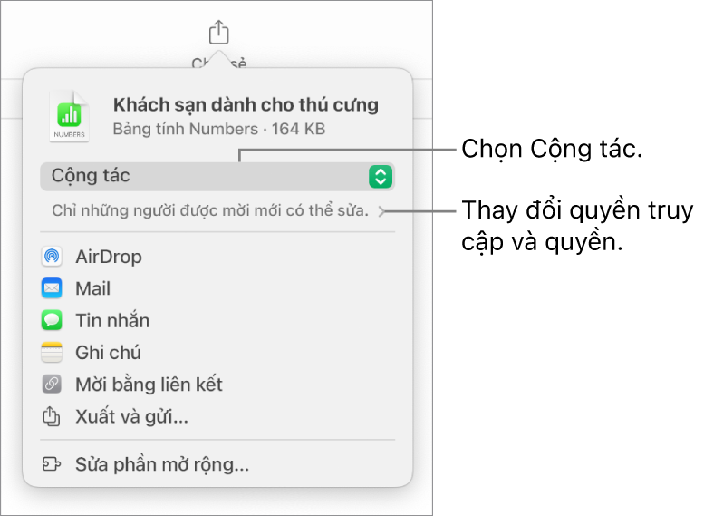 Menu Chia sẻ với Cộng tác được chọn ở trên cùng và các cài đặt quyền truy cập và quyền ở bên dưới.