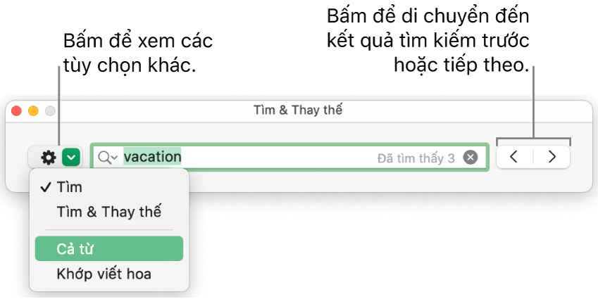 Cửa sổ Tìm & Thay thế với menu bật lên hiển thị các tùy chọn cho Tìm, Tìm & Thay thế, Cả từ và Khớp viết hoa. Các mũi tên ở bên phải cho phép bạn chuyển đến kết quả tìm kiếm trước đó hoặc tiếp theo.