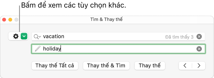 Cửa sổ Tìm & Thay thế có lời nhắc đến nút để hiển thị thêm tùy chọn.