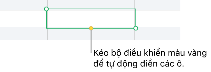 Ô đã chọn có bộ điều khiển màu vàng mà bạn có thể kéo để tự động điền ô.