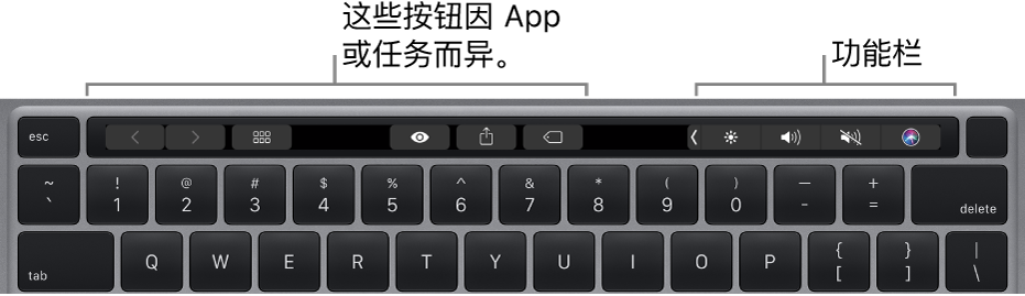 触控栏位于数字键上方的键盘。修改文本的按钮位于左侧和中间。右侧的功能栏含亮度、音量和 Siri 的系统控制。