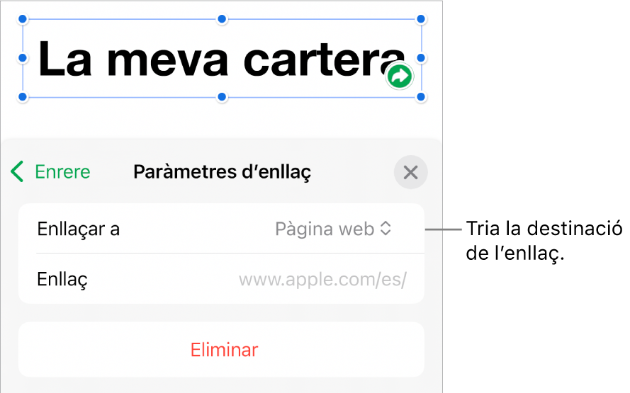 Controls “Paràmetres d’enllaç” amb l’opció “Pàgina web” seleccionada i el botó “Elimina” situat a la part inferior.