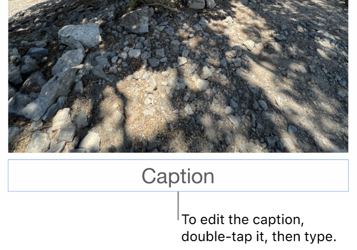 The placeholder caption, “Caption,” appears below a photo; a blue outline around the caption field shows it’s selected.