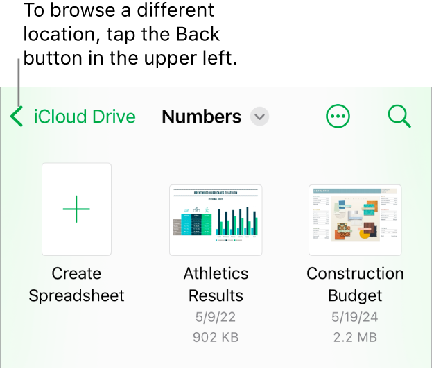 The browse view of the document manager with the Back button in the top-left corner and below it a Search field. Below the Search field is a Create Spreadsheet button next to thumbnails of existing spreadsheets. In the top-right corner are the Add button and the More button.