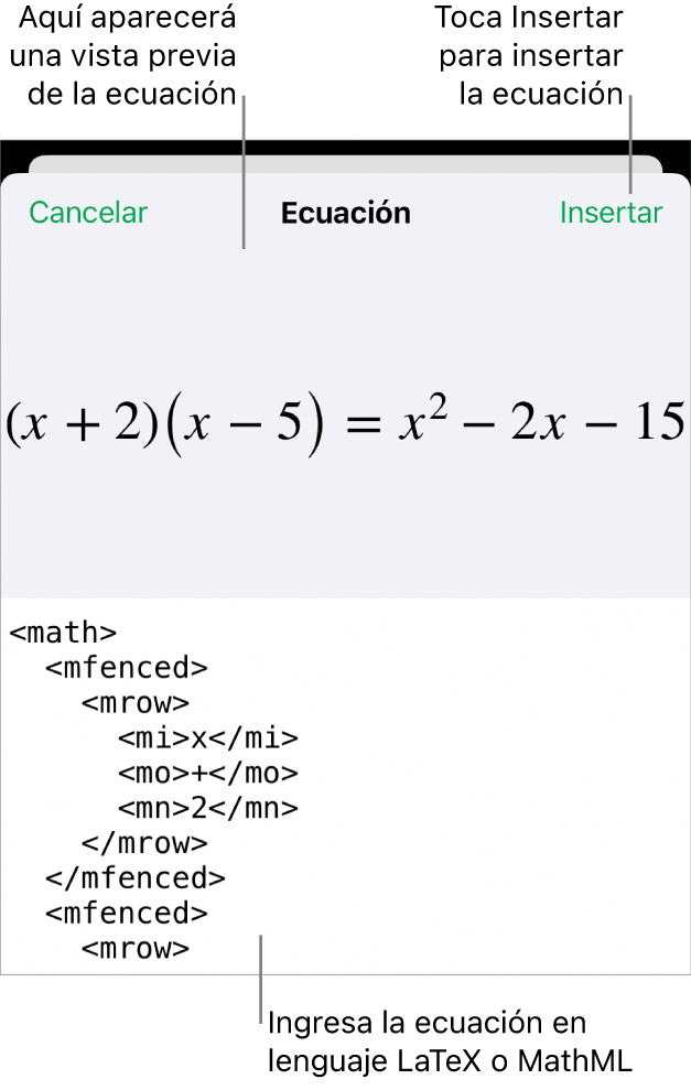 El cuadro de diálogo Ecuación con una ecuación escrita con comandos de MathML y una vista previa de la fórmula encima.