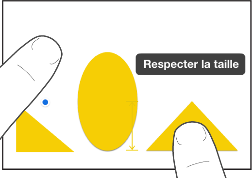 Un doigt juste au-dessus d’une figure et un autre tenant un objet avec « Respecter la taille » à l’écran.