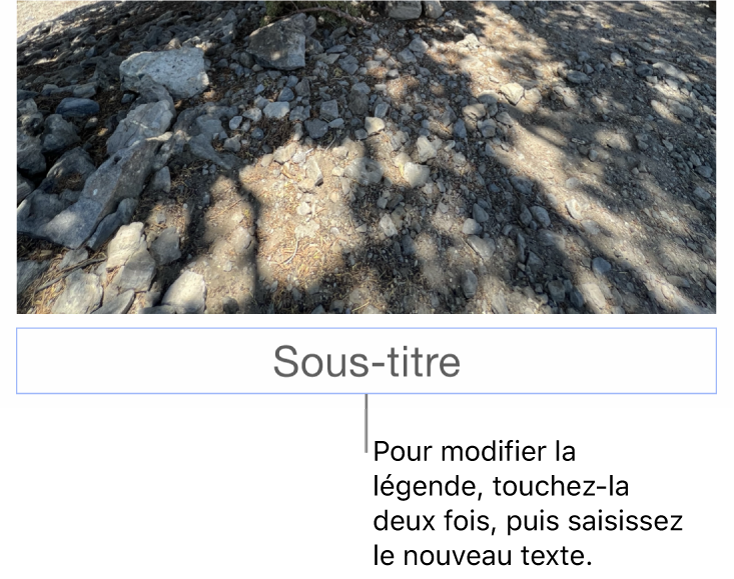 Le paramètre fictif de légende, « Légende », est affiché sous une photo. Un contour bleu autour du champ de la légende indique qu’il est sélectionné.