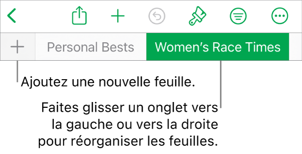 Barre des onglets pour ajouter une feuille, naviguer et réorganiser les feuilles.