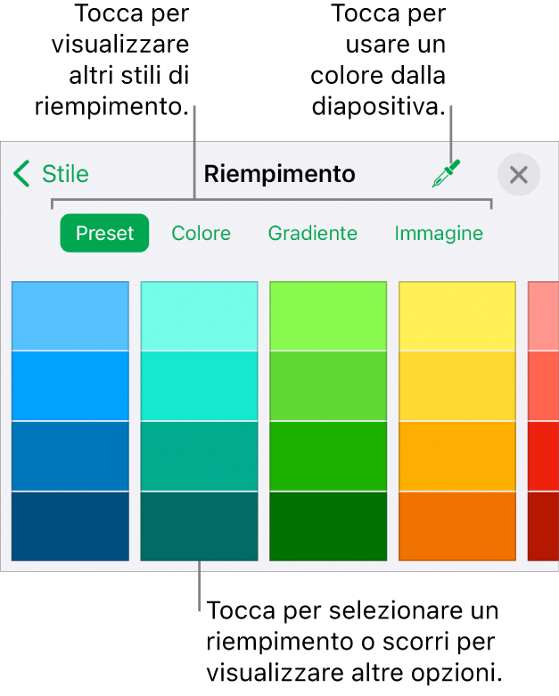 Opzioni di riempimento nel pannello Stile del pulsante Formato.