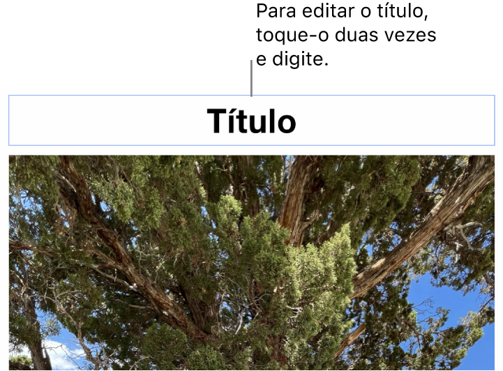 O marcador de posição de título, “Título”, aparece abaixo de uma foto. Um contorno azul ao redor do campo de título mostra que ele está selecionado.