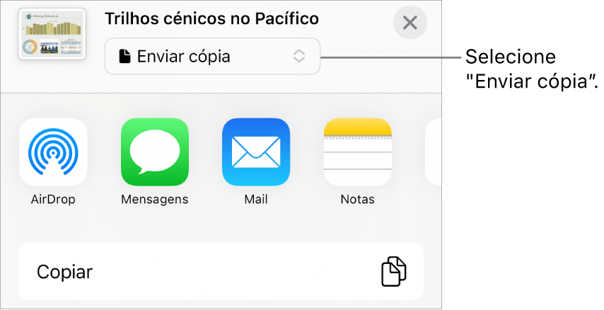 O menu “Partilhar” com “Enviar cópia” selecionada na parte superior.