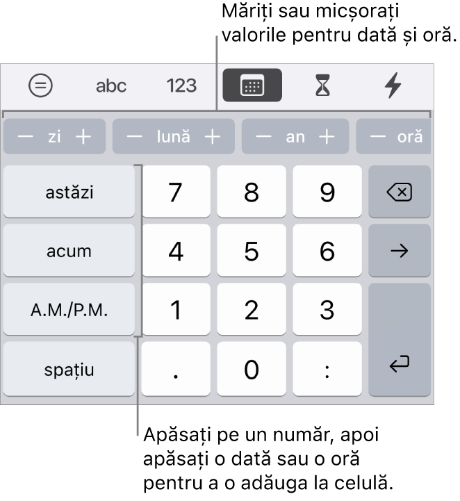 Tastatura dată și oră. Un rând de butoane de lângă partea de sus afișează unități de timp (lună, zi și an) pe care le puteți incrementa pentru a schimba valoarea afișată în celulă. Pe stânga se află tastele pentru astăzi, acum și AM/PM, iar în centrul tastaturii sunt taste numerice.