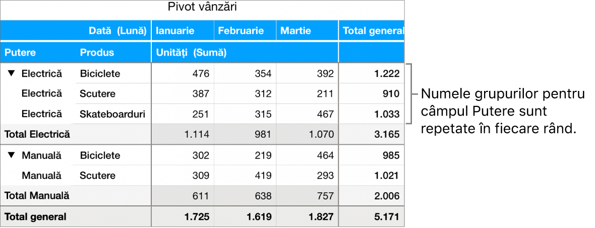 O diagramă pivot afișând Electric și Manual, numele de grup pentru câmpul Putere, repetate în fiecare rând.