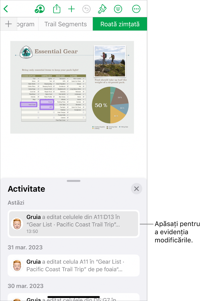 O foaie de calcul colaborativă având deschise meniul pentru colaborare și lista de activități.