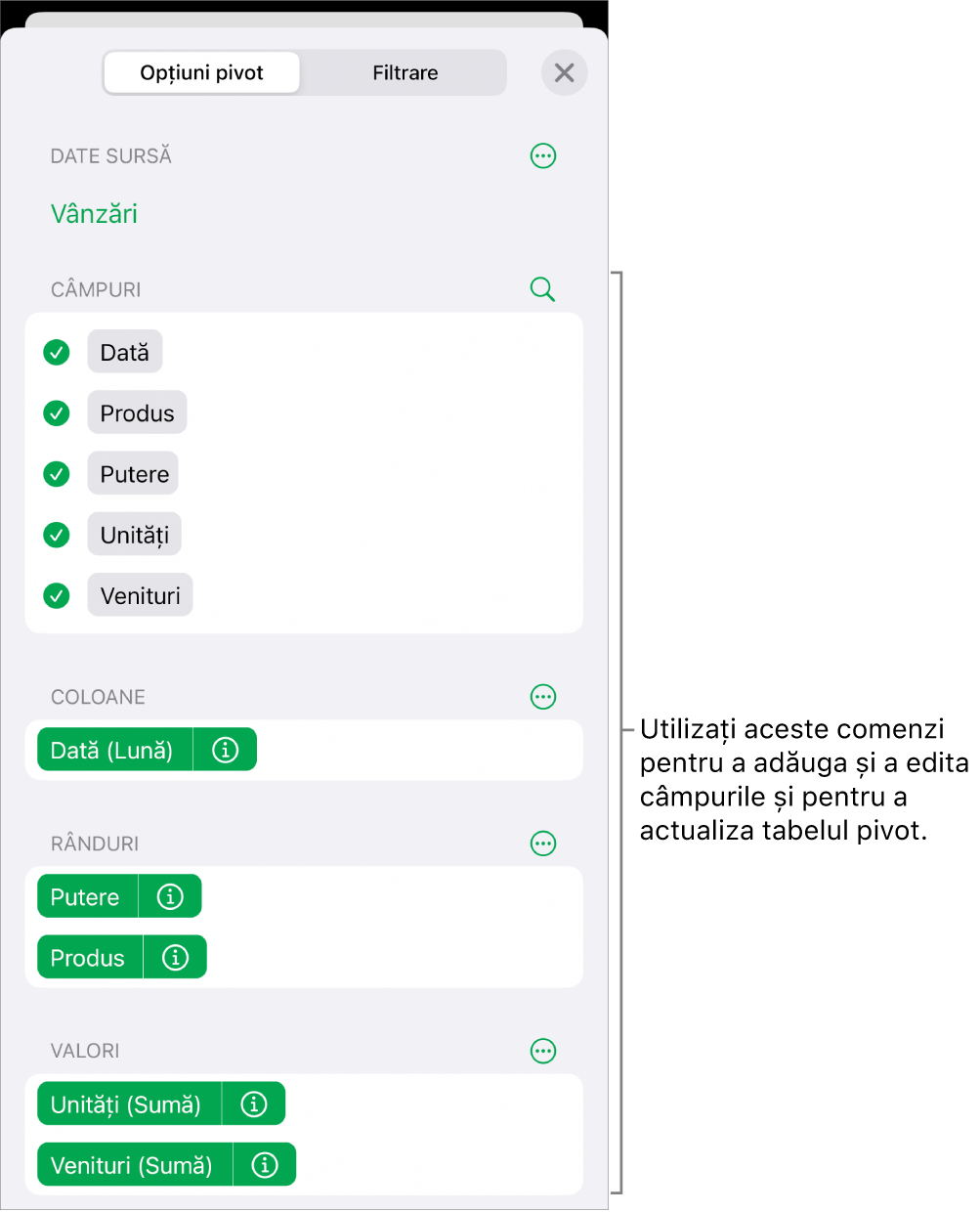 Meniul Opțiuni pivot afișând câmpurile din secțiunile Coloane, Rânduri și Valori și comenzile pentru editarea câmpurilor.