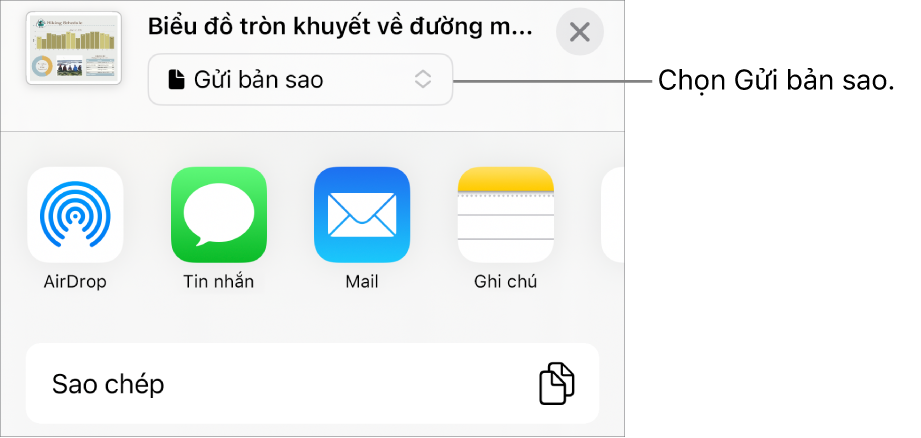 Menu Chia sẻ với Gửi bản sao được chọn ở trên cùng.