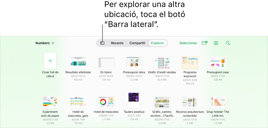 Vista d’exploració del gestor de documents amb un enllaç d’ubicació a la cantonada superior esquerra i un camp de cerca a sota. A l’angle superior dret, hi ha el botó “Afegeix un full de càlcul”; el botó “Nova carpeta”; un menú desplegable per utilitzar la vista de llista o d’icones i per filtrar per nom, data, mida, tipus i etiqueta, i el botó “Selecciona”. A sota hi ha miniatures de fulls de càlcul existents.