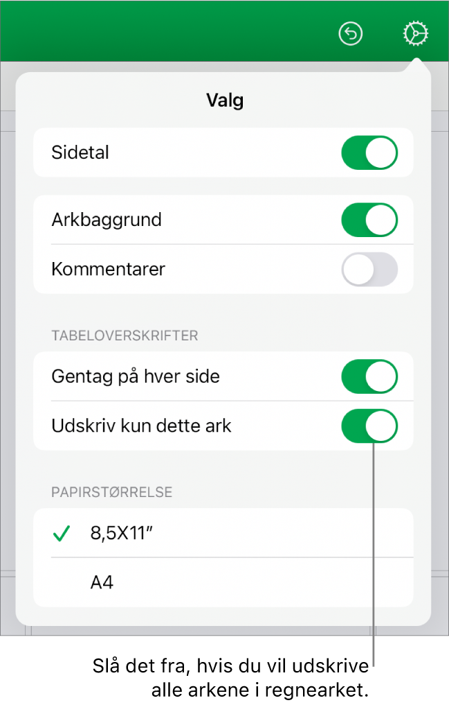 Vinduet Udskriftseksempel med indstillinger til visning af sidetal, ændring af papirstørrelsen og valg af, om hele regnearket eller kun det aktuelle ark skal udskrives.