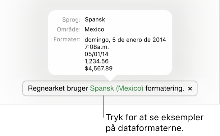 Notifikationen om de forskellige indstillinger af sprog og område, der viser eksempler på den formatering, som hører til sproget og området.