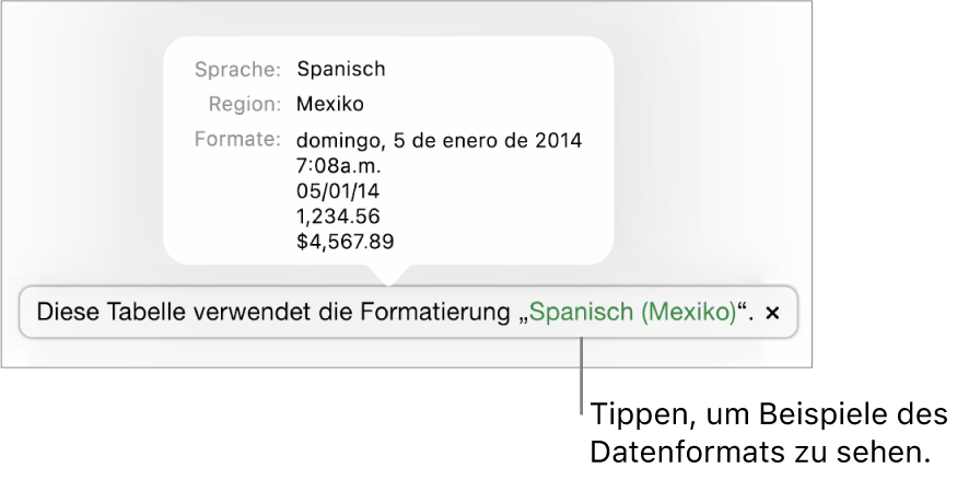 Die Mitteilung zur anderen Sprache und Region mit Beispielen der Formatierung in dieser Sprache und Region.