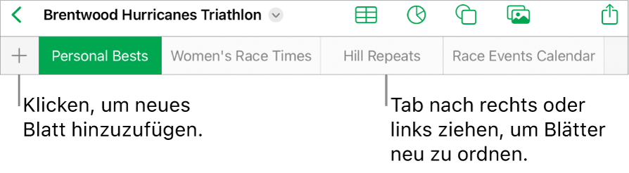 Tableiste zum Hinzufügen eines neuen Blatts und zum Navigieren, Neuanordnen und Neusortieren von Blättern.