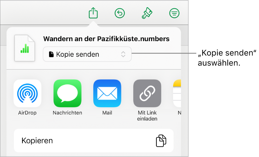 Das Menü „Teilen“, in dem „Kopie senden“ oben ausgewählt ist.