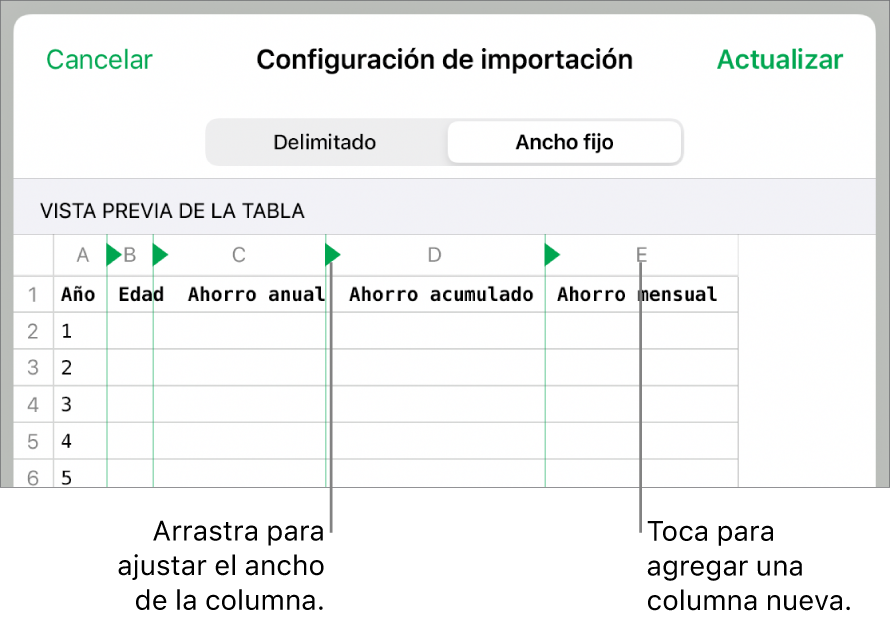 La configuración de importación de un archivo de texto de ancho fijo.