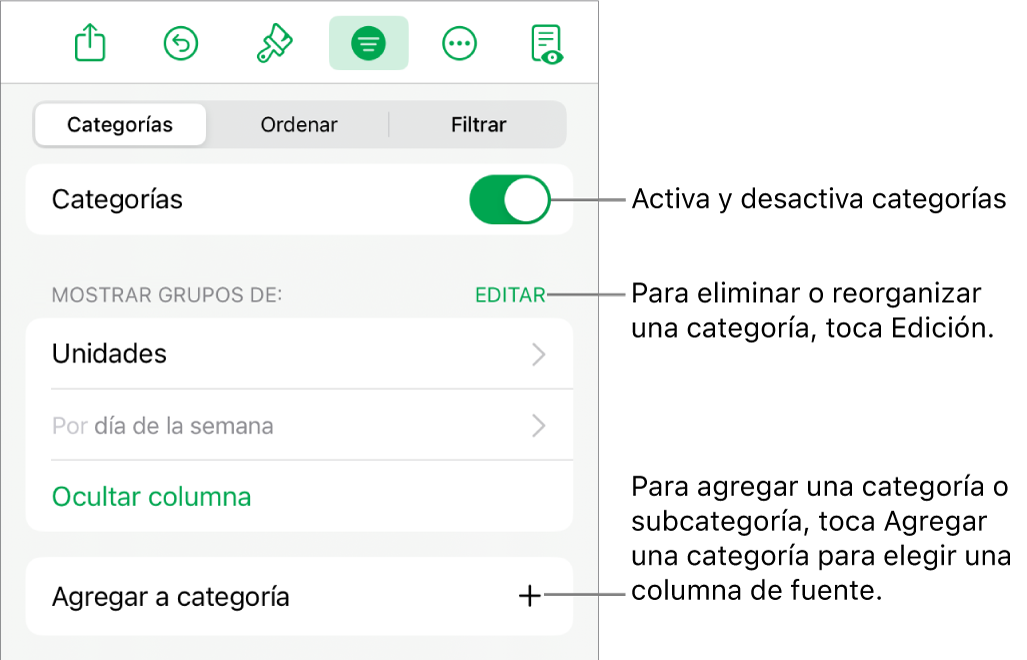 El menú Categorías del iPad con opciones para desactivar las categorías, eliminar categorías, reagrupar datos, ocultar una columna origen y agregar categorías.