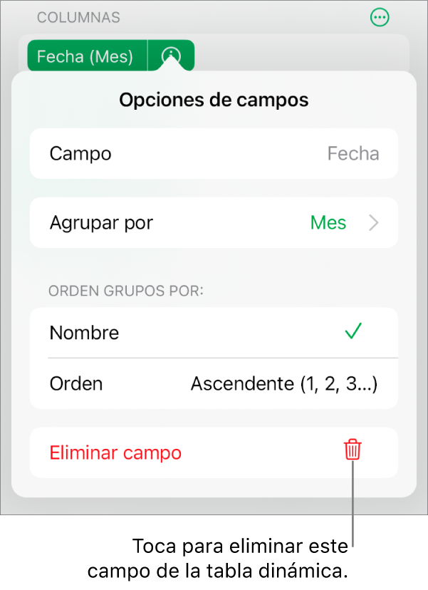 El menú Opciones de campos, mostrando los controles para agrupar y clasificar los datos, así como la opción para eliminar un campo.