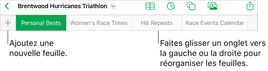 Barre des onglets pour ajouter une feuille, parcourir et réorganiser les feuilles.