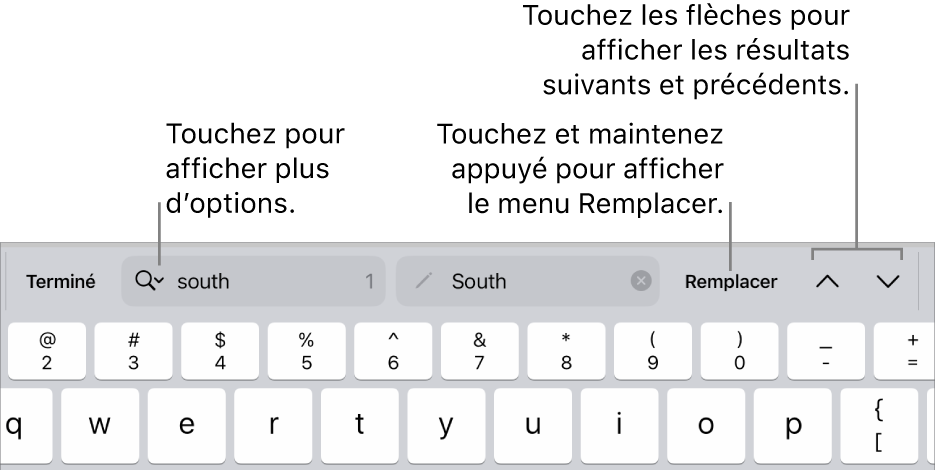 Les commandes Rechercher et remplacer au-dessus du clavier avec des légendes pour les boutons Options de recherche, Monter et Descendre.