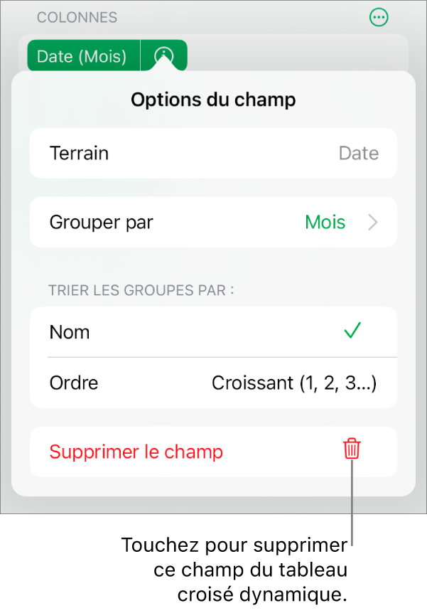 Le menu « Options du champ » affichant les commandes permettant de regrouper et de trier les données, ainsi que l’option de suppression d’un champ.