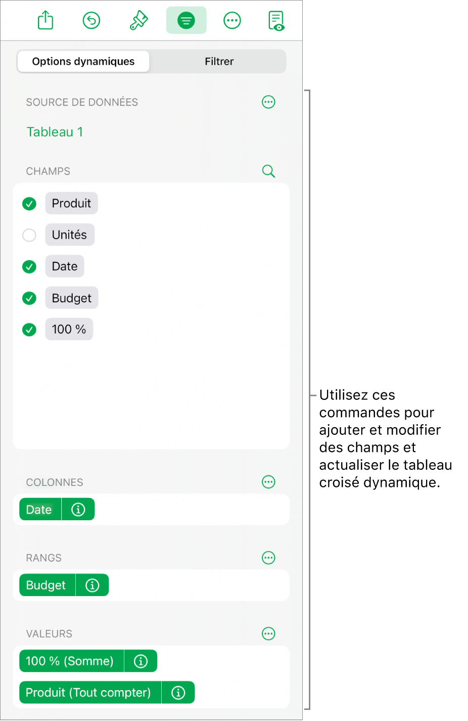 Le menu « Options dynamiques » affichant des champs dans les sections Colonnes, Rangs et Valeurs, ainsi que des commandes permettant de modifier les champs.