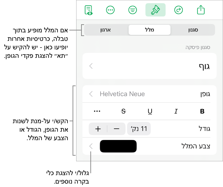 כלי בקרה של מלל בתפריט ״עיצוב״ להגדרת סגנונות, גופן, גודל וצבע עבור פיסקאות ותווים.