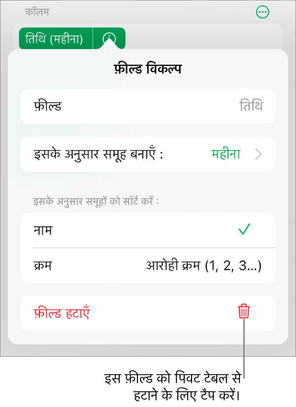 फ़ील्ड विकल्प मेनू जो डेटा को वर्गीकृत करने और सॉर्ट करने के लिए नियंत्रण दिखाता है, साथ में फ़ील्ड को हटाने के लिए विकल्प दिखाता है।