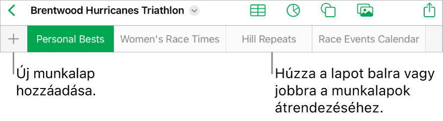 Lapsáv új munkalap hozzáadásához, navigáláshoz, sorrendmódosításhoz és munkalapok átrendezéséhez.