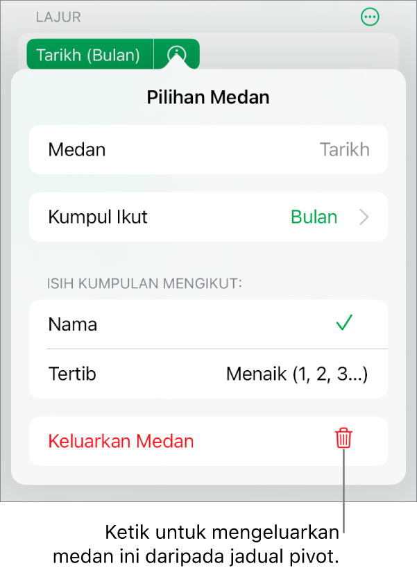 Menu Pilihan Medan, menunjukkan kawalan untuk mengumpulkan dan mengisih data, juga pilihan untuk mengeluarkan medan.