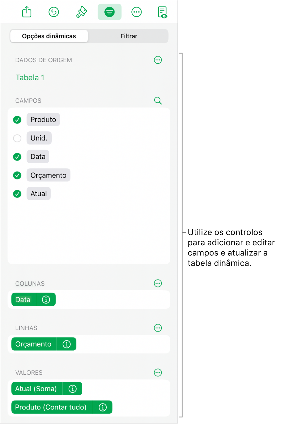 O menu "Opções dinâmicas” a mostrar campos nas secções “Colunas”, “Linhas” e “Valores”, bem como os controlos para editar os campos.
