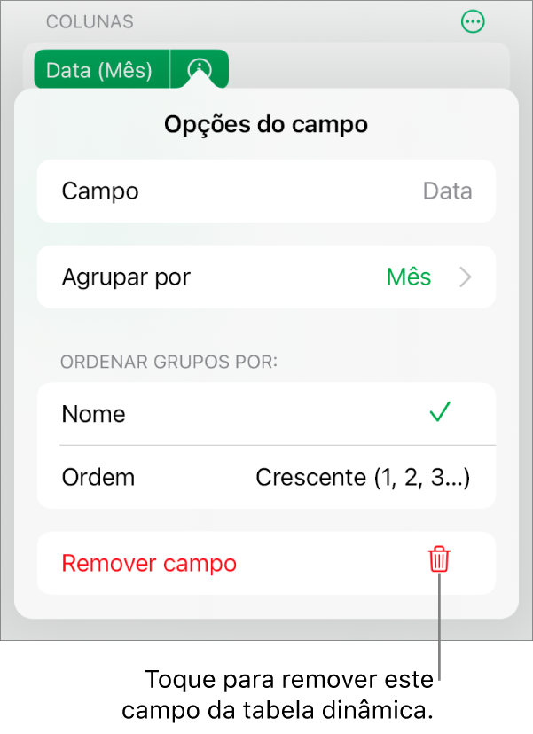 O menu "Opções do campo”, a mostrar os controlos que permitem agrupar e ordenar dados, assim como a opção para remover um campo.