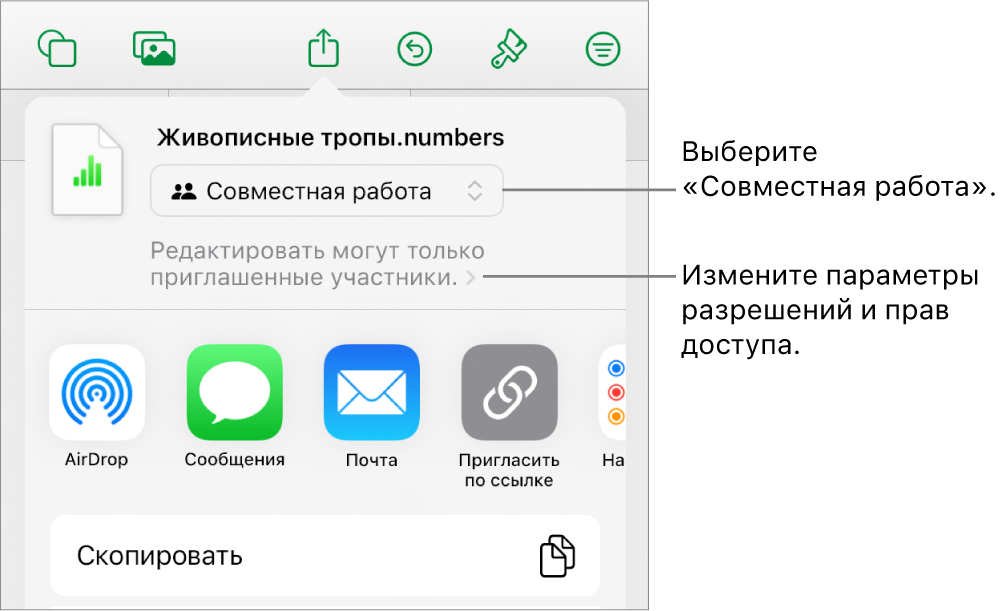 В верхней части экрана отображается меню «Поделиться». Выбран параметр «Совместная работа», под ним находятся настройки прав доступа.