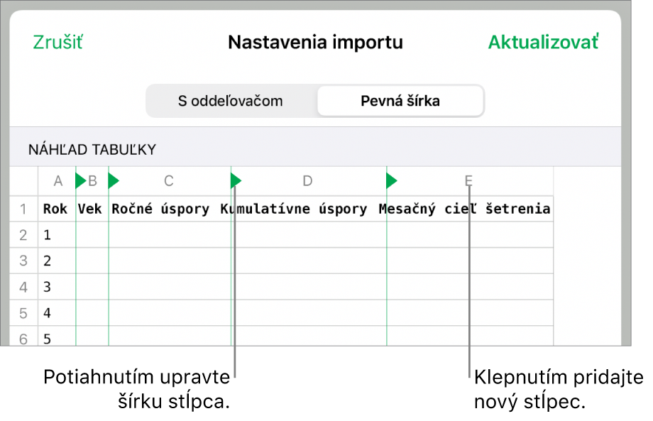 Nastavenia importu pre textový súbor s fixnou šírkou.